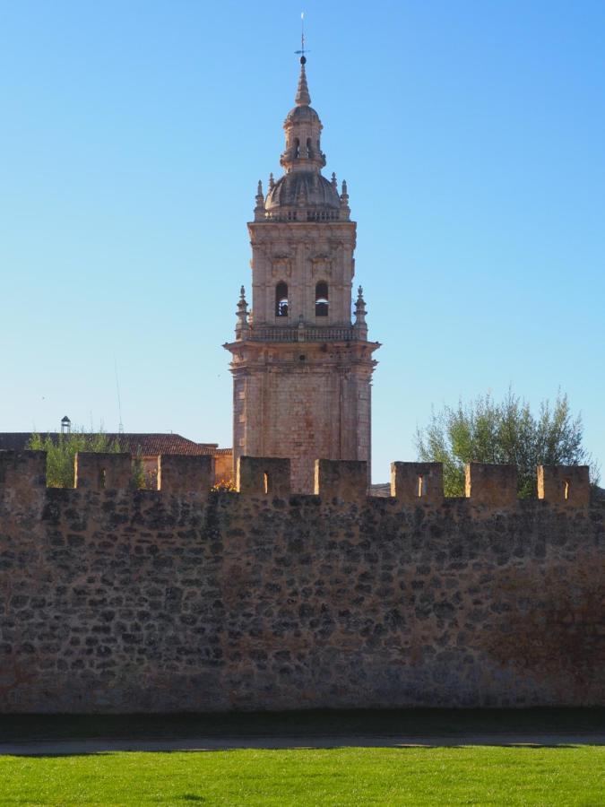 La Casona Del Zoilo -Los Arenales- El Burgo De Osma Exterior foto